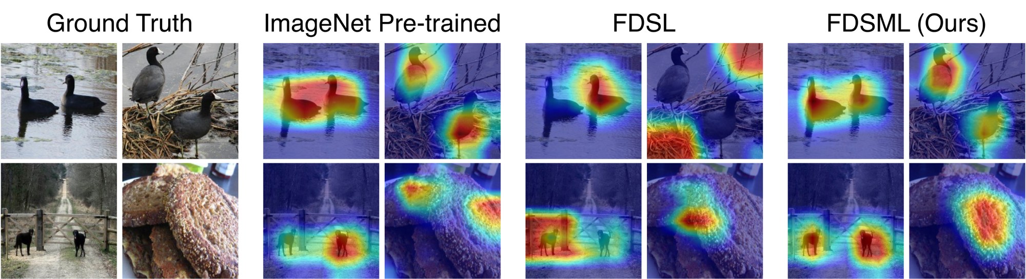 Grad-CAM comparison: ImageNet pre-trained, FDSL, FDSML